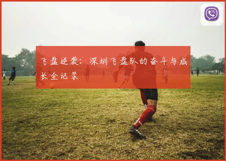 飞盘逆袭：深圳飞盘队的奋斗与成长全记录