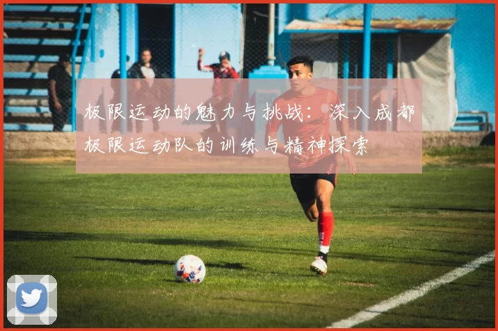 极限运动的魅力与挑战：深入成都极限运动队的训练与精神探索