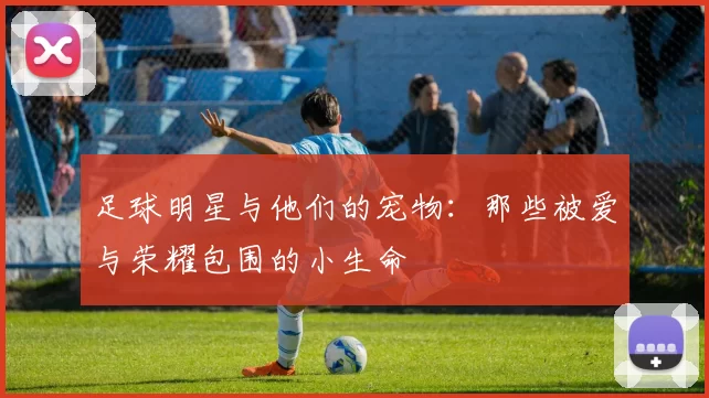 足球明星与他们的宠物：那些被爱与荣耀包围的小生命