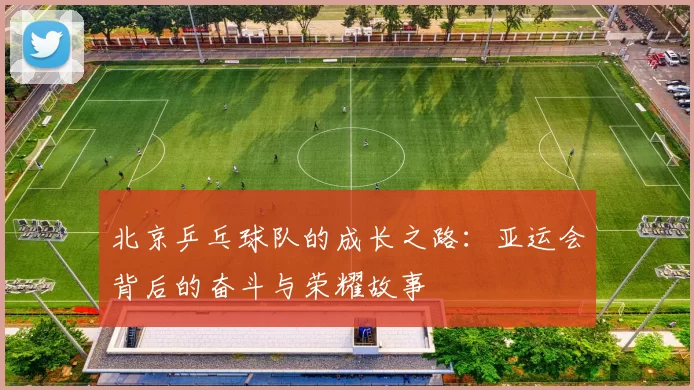 北京乒乓球队的成长之路：亚运会背后的奋斗与荣耀故事