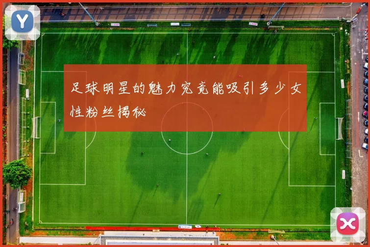 足球明星的魅力究竟能吸引多少女性粉丝揭秘
