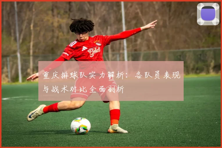 重庆排球队实力解析：各队员表现与战术对比全面剖析