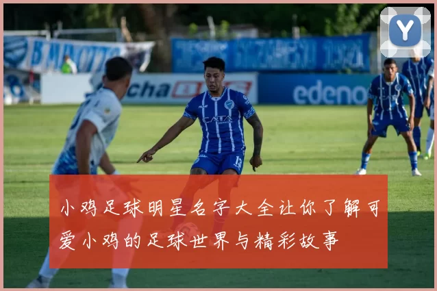 小鸡足球明星名字大全让你了解可爱小鸡的足球世界与精彩故事