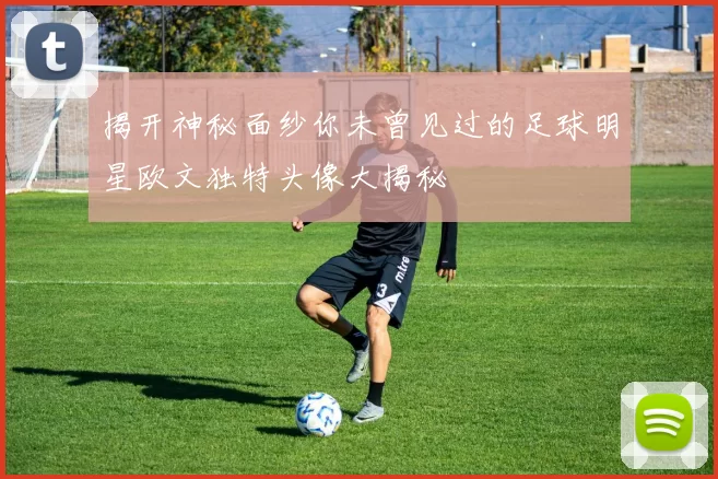 揭开神秘面纱你未曾见过的足球明星欧文独特头像大揭秘