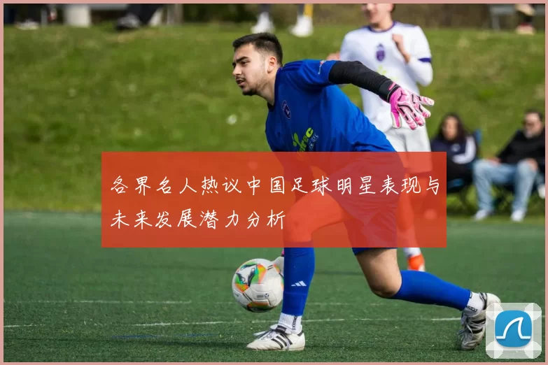 各界名人热议中国足球明星表现与未来发展潜力分析