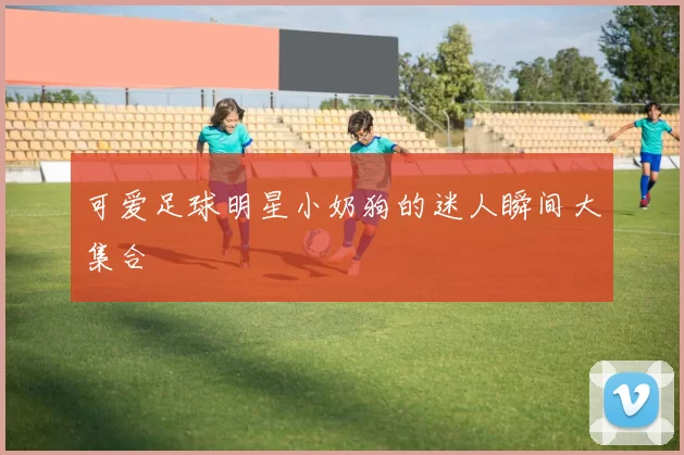可爱足球明星小奶狗的迷人瞬间大集合