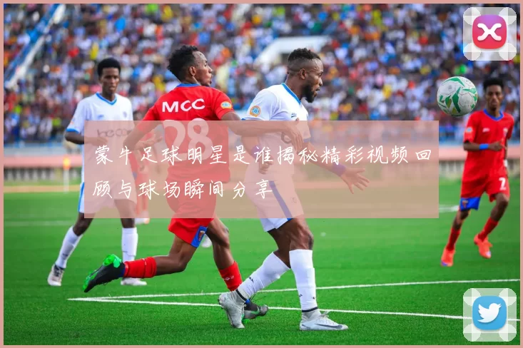 蒙牛足球明星是谁揭秘精彩视频回顾与球场瞬间分享