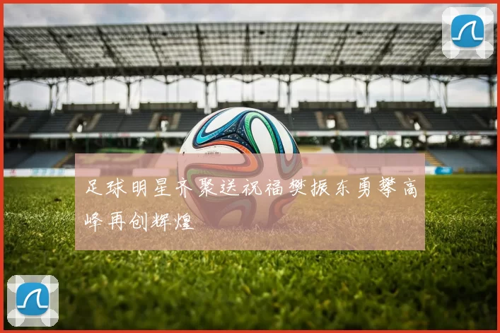 足球明星齐聚送祝福樊振东勇攀高峰再创辉煌