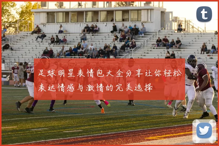 足球明星表情包大全分享让你轻松表达情感与激情的完美选择