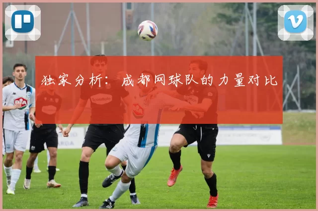 独家分析：成都网球队的力量对比
