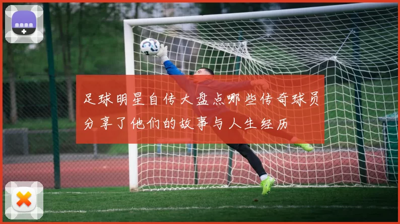 足球明星自传大盘点哪些传奇球员分享了他们的故事与人生经历