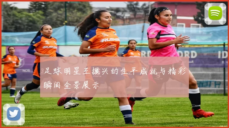 足球明星王振兴的生平成就与精彩瞬间全景展示