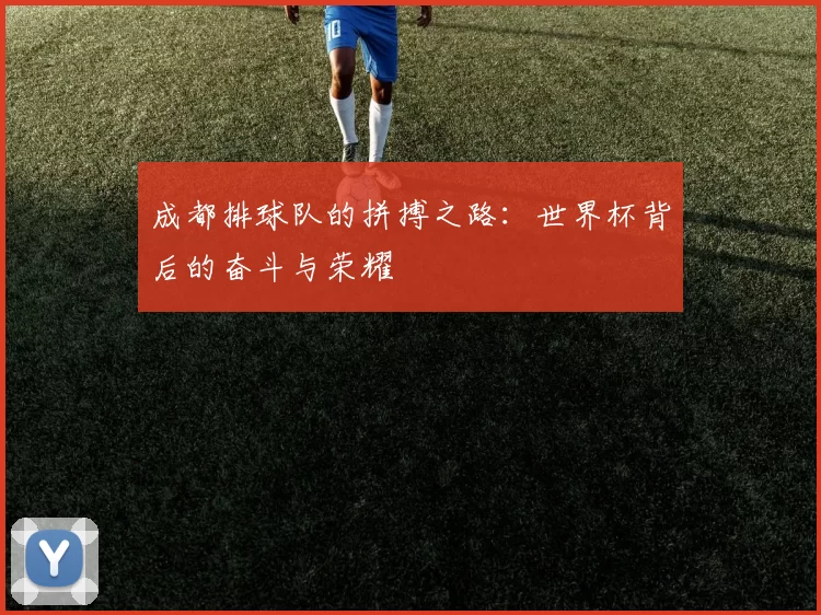 成都排球队的拼搏之路：世界杯背后的奋斗与荣耀