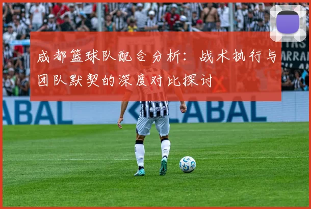 成都篮球队配合分析：战术执行与团队默契的深度对比探讨