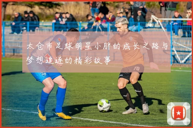 太仓市足球明星小胖的成长之路与梦想追逐的精彩故事