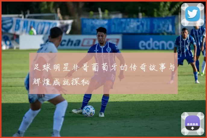 足球明星非哥葡萄牙的传奇故事与辉煌成就探秘