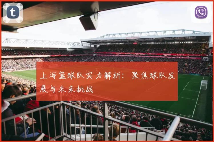 上海篮球队实力解析：聚焦球队发展与未来挑战