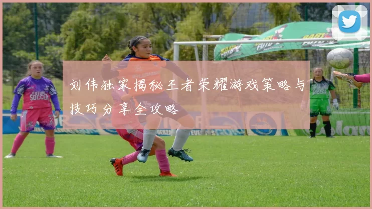 刘伟独家揭秘王者荣耀游戏策略与技巧分享全攻略