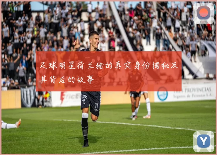 足球明星荷兰猪的真实身份揭秘及其背后的故事