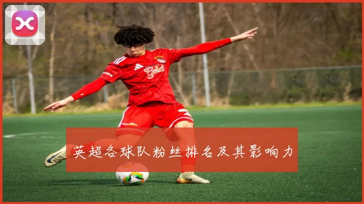 英超各球队粉丝排名及其影响力