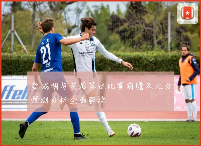 盐城湖与明尼苏达比赛前瞻及比分预测分析全面解读