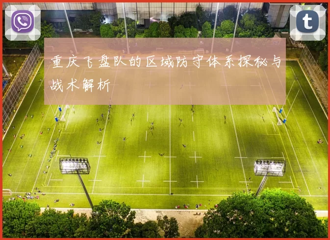 重庆飞盘队的区域防守体系探秘与战术解析