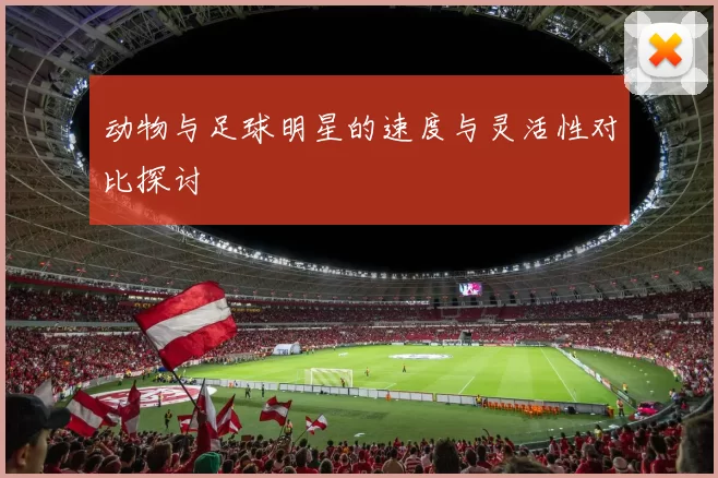 动物与足球明星的速度与灵活性对比探讨