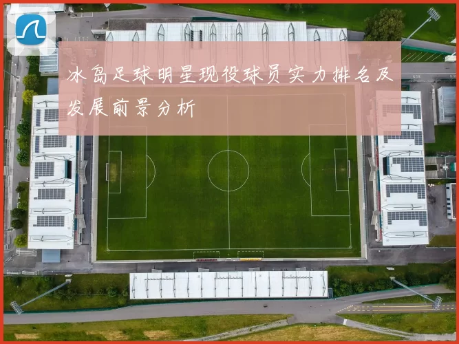 冰岛足球明星现役球员实力排名及发展前景分析