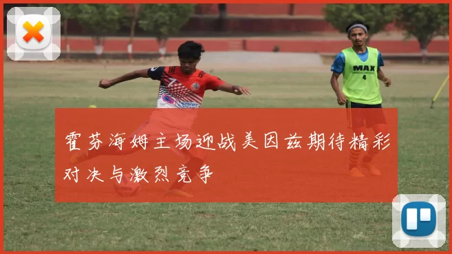 霍芬海姆主场迎战美因兹期待精彩对决与激烈竞争