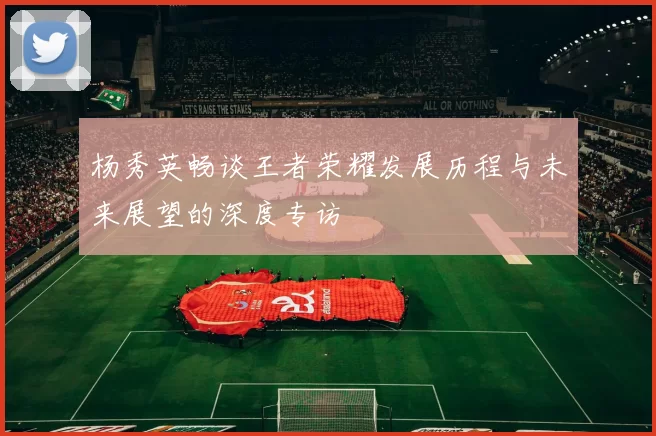 杨秀英畅谈王者荣耀发展历程与未来展望的深度专访